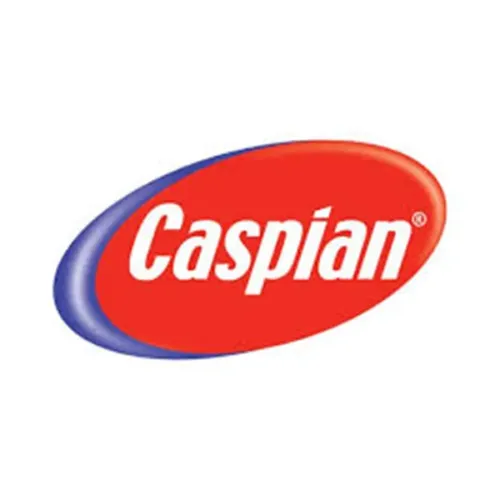 ضدیخ کاسپین کولانت 50/50 وزن 2 کیلوگرم