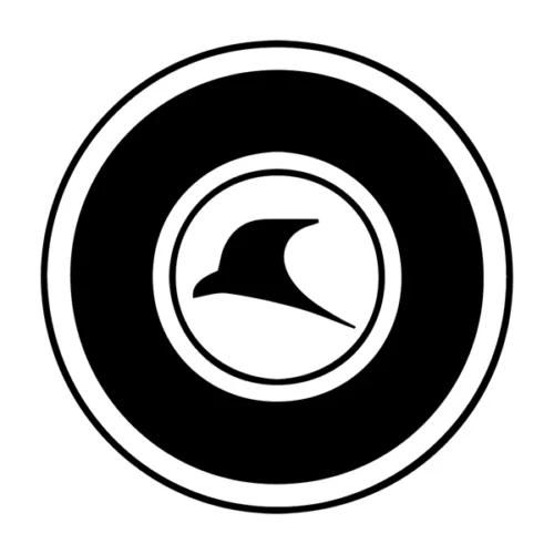 ریگان خودرو